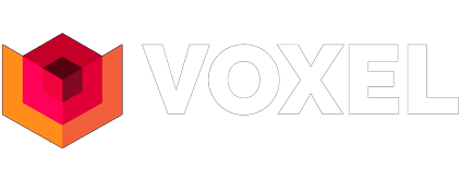 voxel